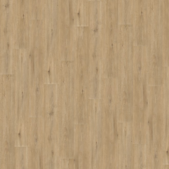 LIBERTY - Rock 40 Acoustic - Lames...