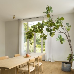 QUICK STEP - Impressive -... 2