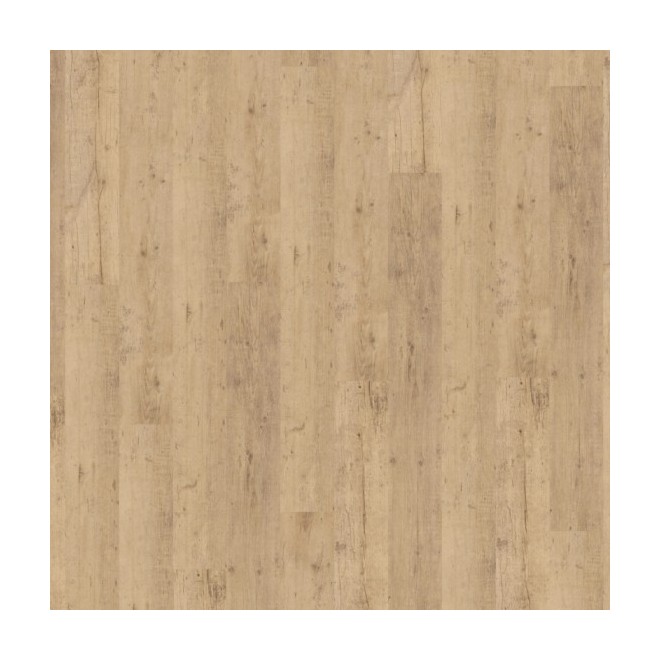 OBJECTFLOR X UDIREV - Expona...